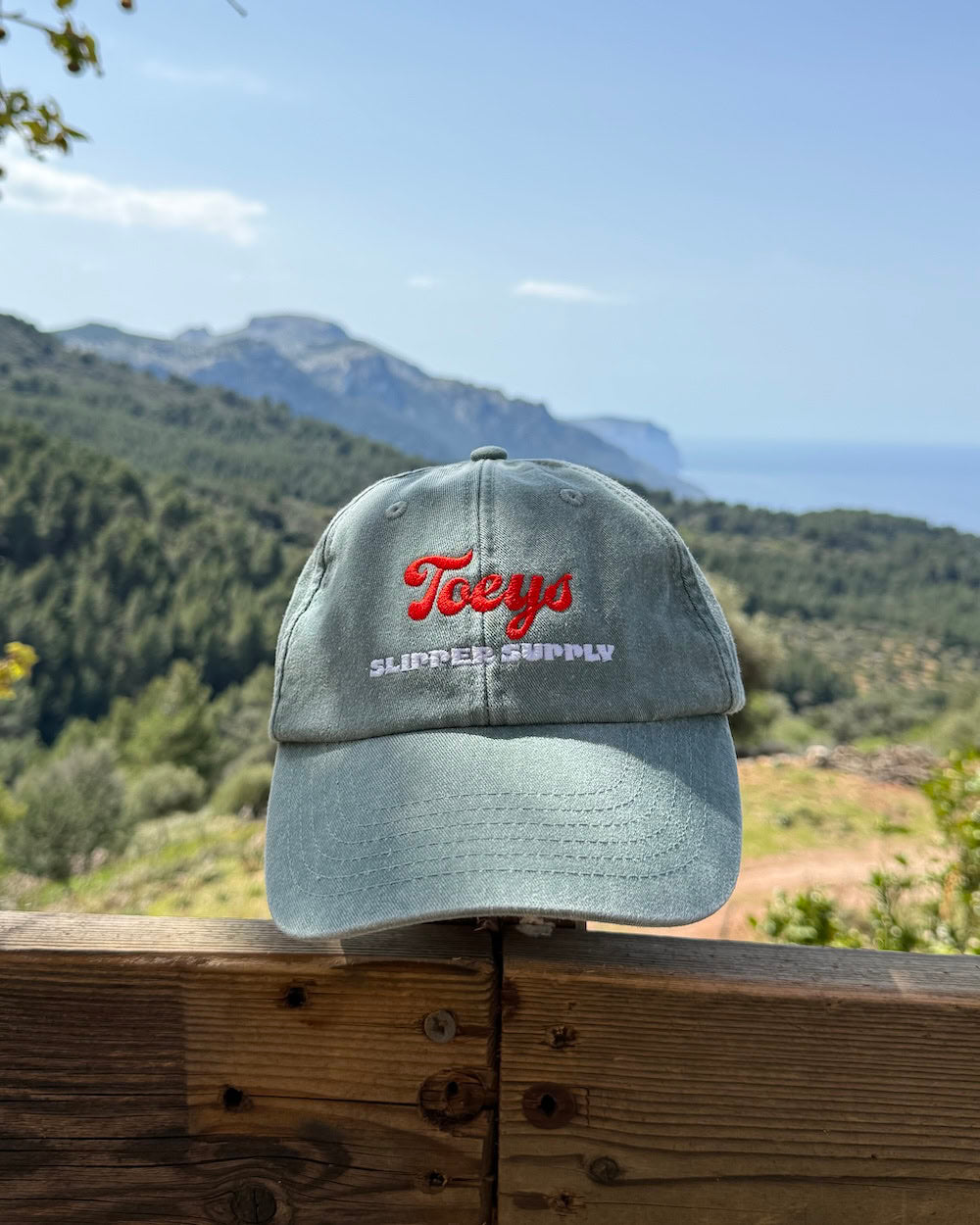 Slipper Supply Keps - Vintage Grön